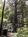 Grandeur Nature 0025