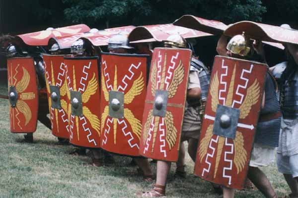 testudo.jpg