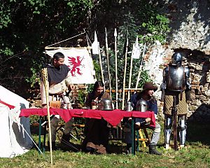 die Ritter am Turnierplatz, © SUS