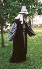 der Magier Fizzban