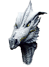 Drachen & Echsen