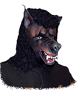 Wertiere