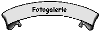 Fotogalerie