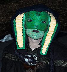 Eine Riesenschlange, © HMW